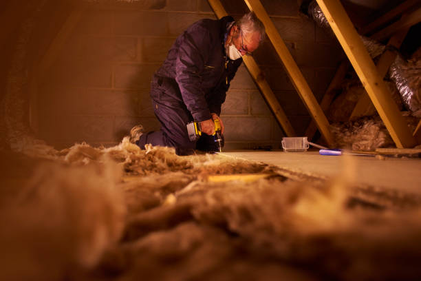 Best DIY Insulation Kits and Guidance in Farwell, TX